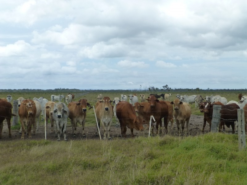 Maryborough QLD 4650
