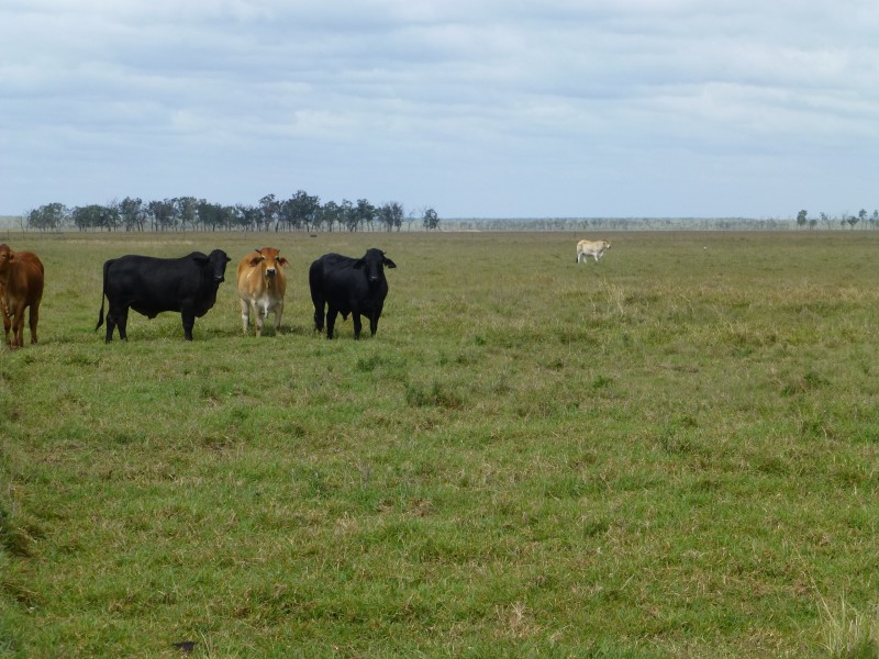 Maryborough QLD 4650