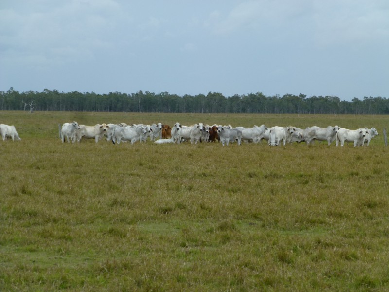 Maryborough QLD 4650