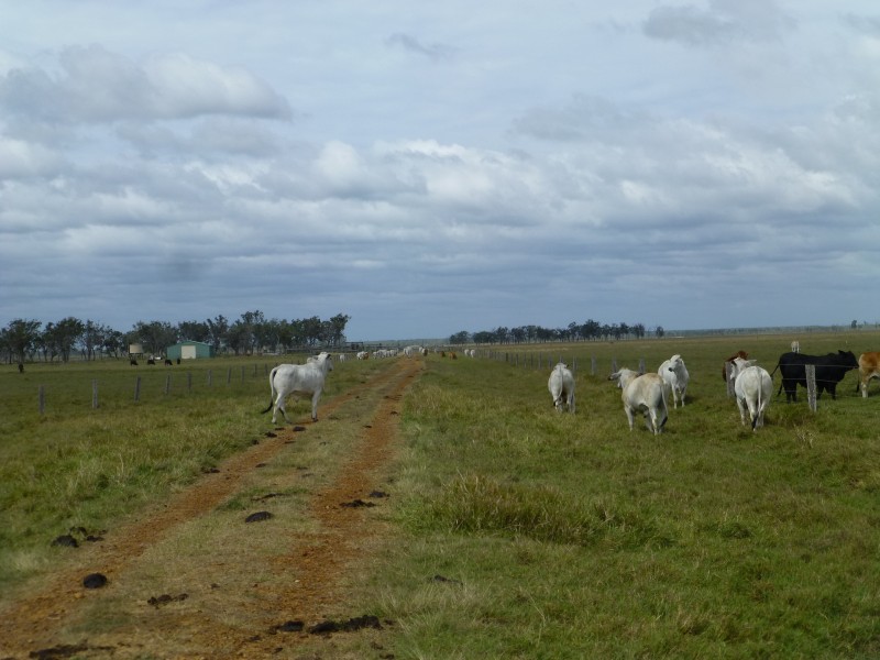 Maryborough QLD 4650