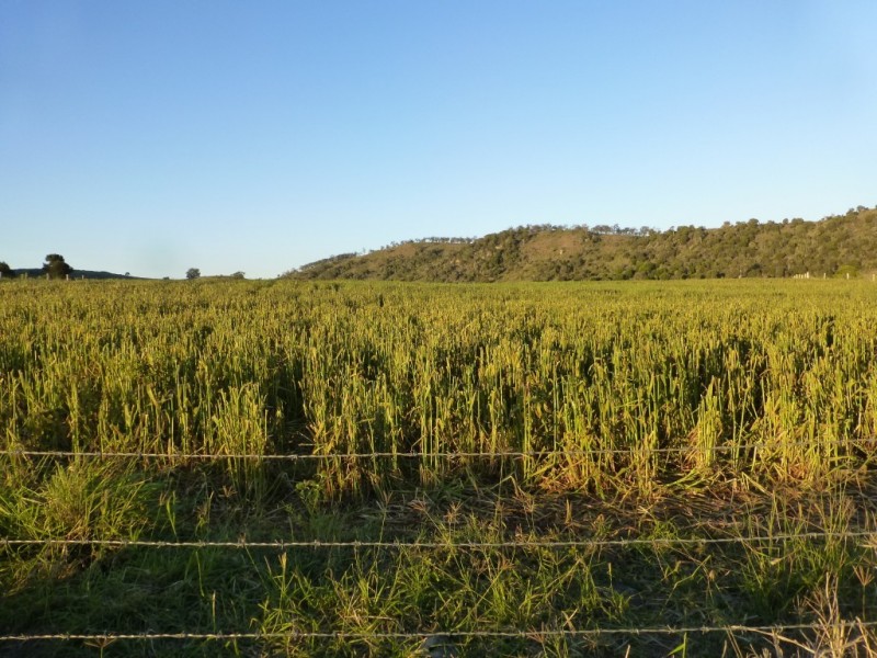 Coalstoun Lakes QLD 4621