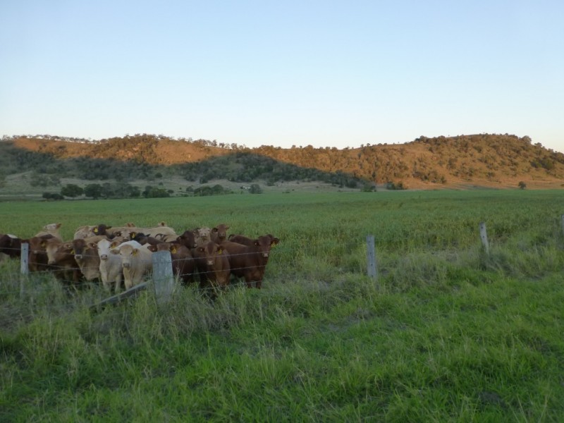 Coalstoun Lakes QLD 4621