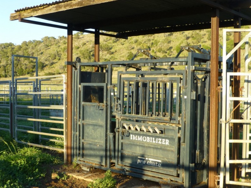Coalstoun Lakes QLD 4621