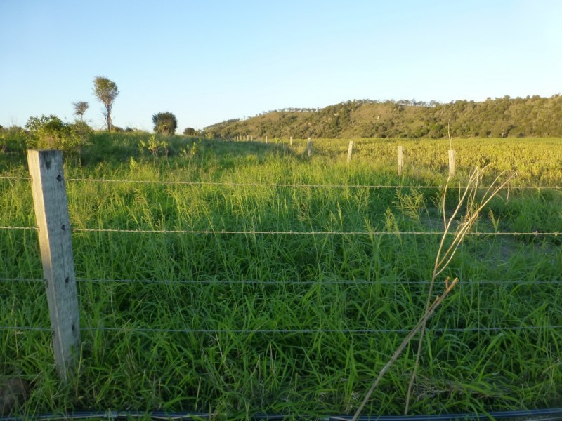 Coalstoun Lakes QLD 4621