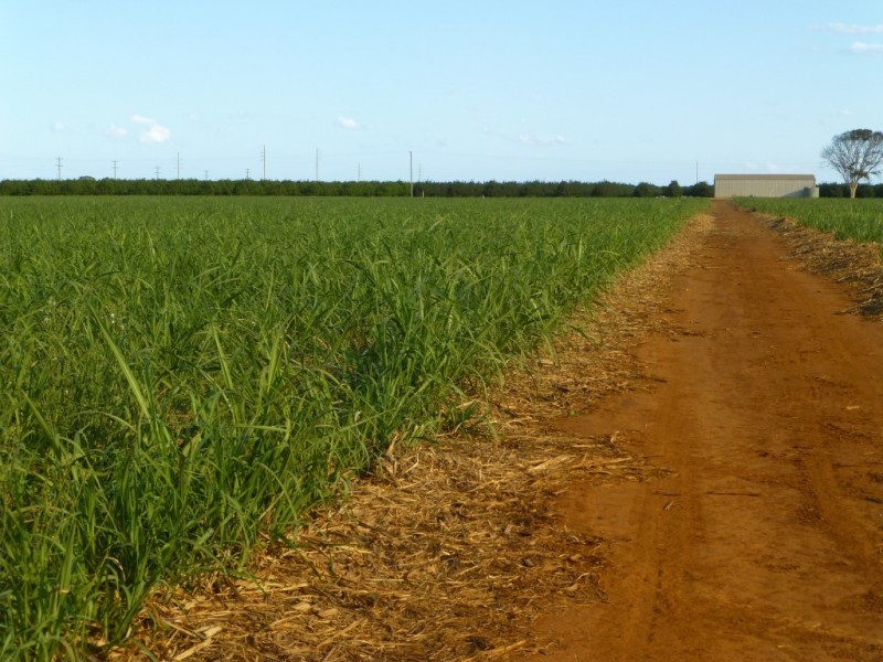 Lot 6,  LOVERS WALK, Bundaberg QLD 4670