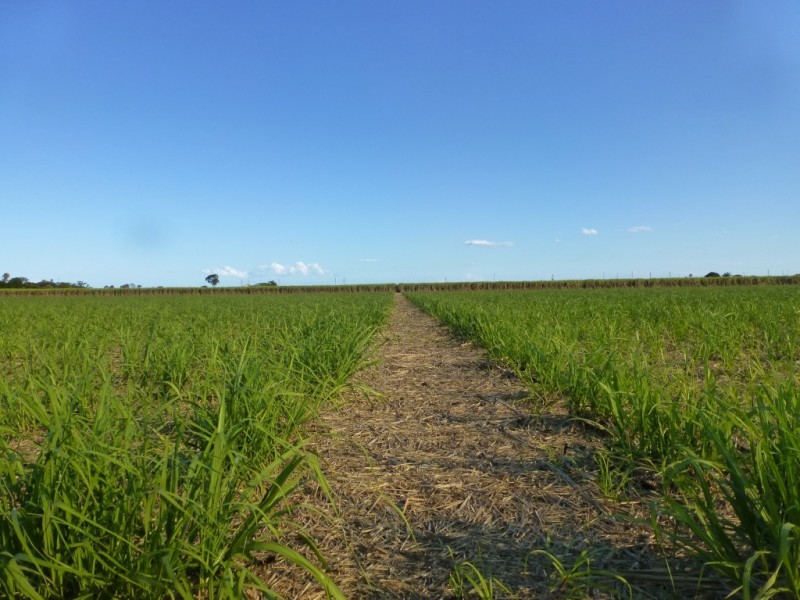Lot 6,  LOVERS WALK, Bundaberg QLD 4670