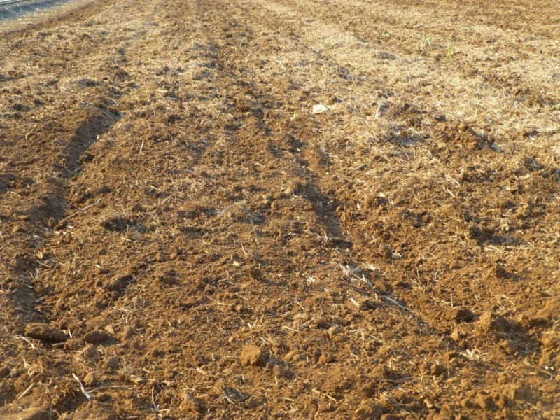 Lot 6,  LOVERS WALK, Bundaberg QLD 4670