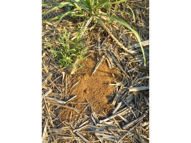 Lot 6,  LOVERS WALK, Bundaberg QLD 4670