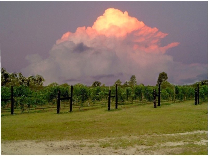 574 RAINBOWS ROAD, South Isis QLD 4660