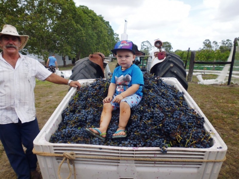 574 RAINBOWS ROAD, South Isis QLD 4660