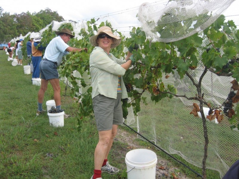 574 RAINBOWS ROAD, South Isis QLD 4660