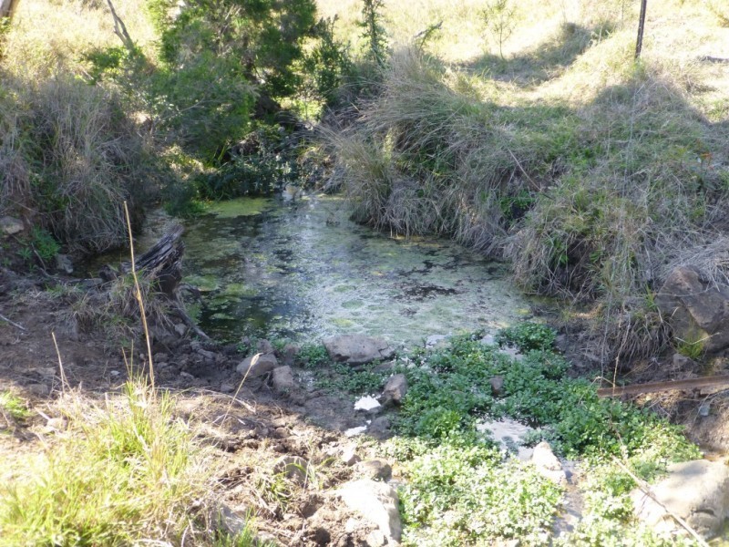 Lot 2 & 124,  PEARCES ROAD, Dallarnil QLD 4621