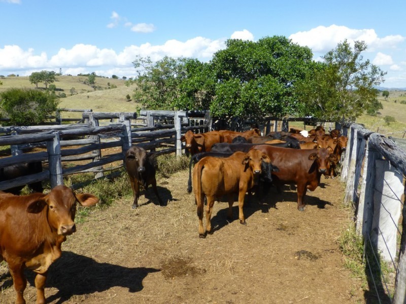 Lot 2 & 124,  PEARCES ROAD, Dallarnil QLD 4621