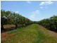 40 AVOCADO DRIVE, Childers QLD 4660