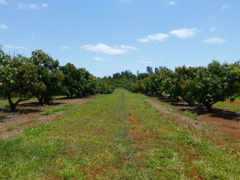 40 AVOCADO DRIVE, Childers QLD 4660