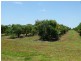 40 AVOCADO DRIVE, Childers QLD 4660