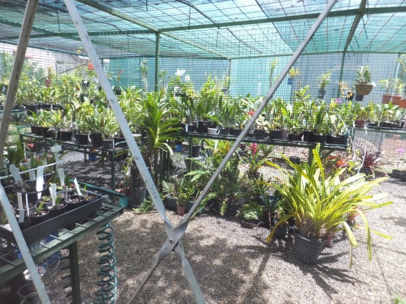 25 NELSON STREET, Childers QLD 4660