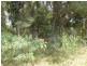 32 Wechsels Road, Horton QLD 4660