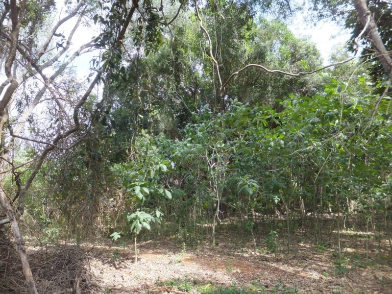 32 Wechsels Road, Horton QLD 4660