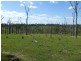 Eureka QLD 4660
