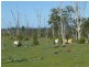 Eureka QLD 4660