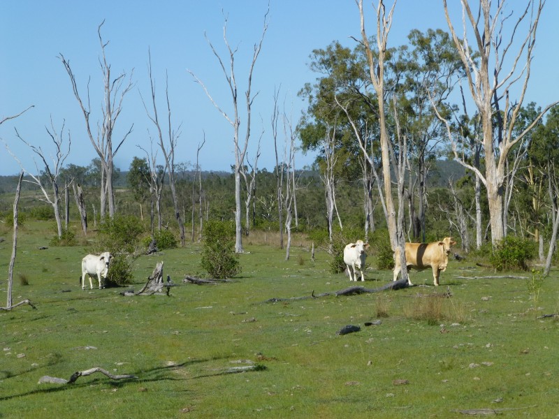 Eureka QLD 4660