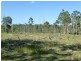Eureka QLD 4660