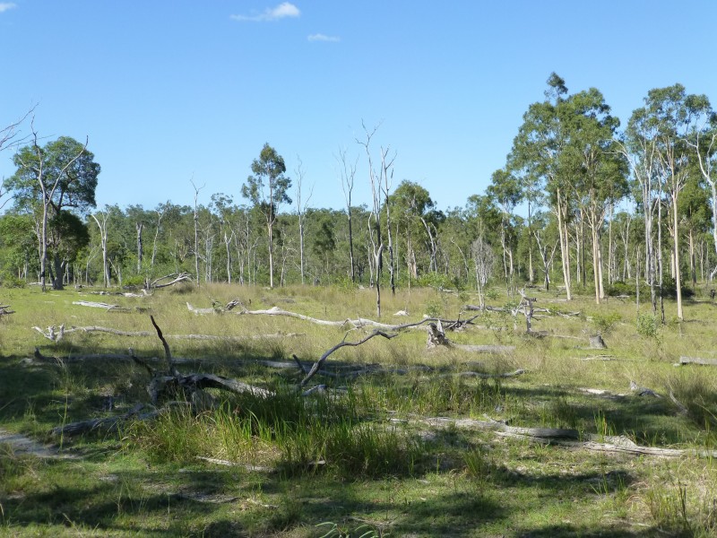 Eureka QLD 4660