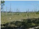 Eureka QLD 4660