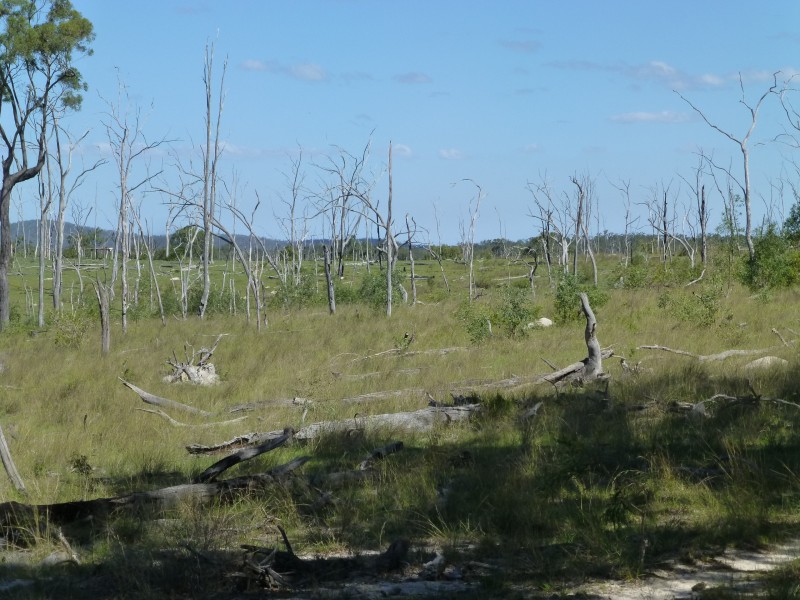 Eureka QLD 4660