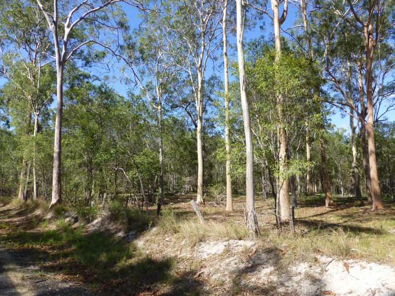 Eureka QLD 4660