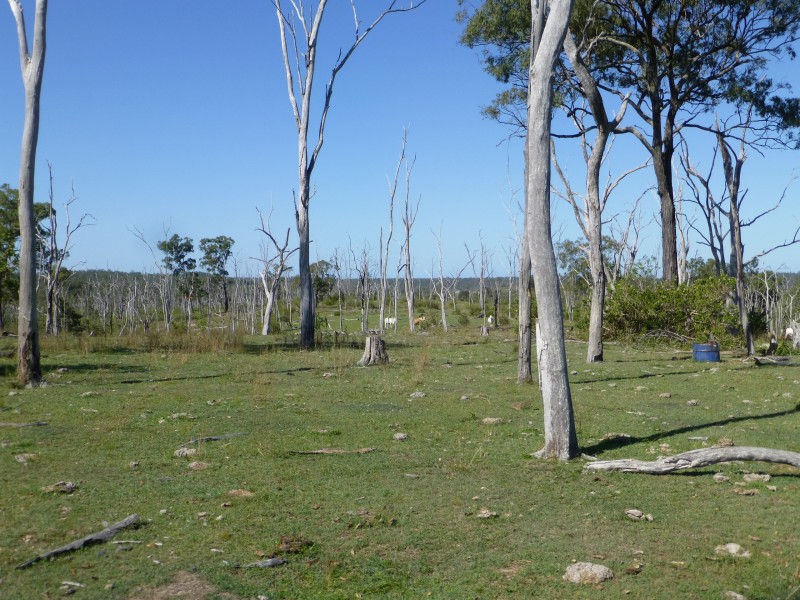 Eureka QLD 4660