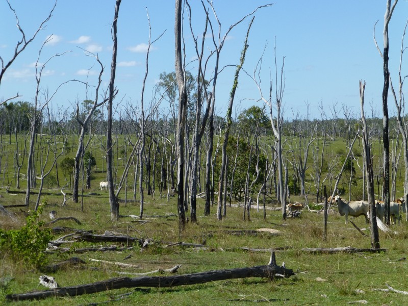 Eureka QLD 4660