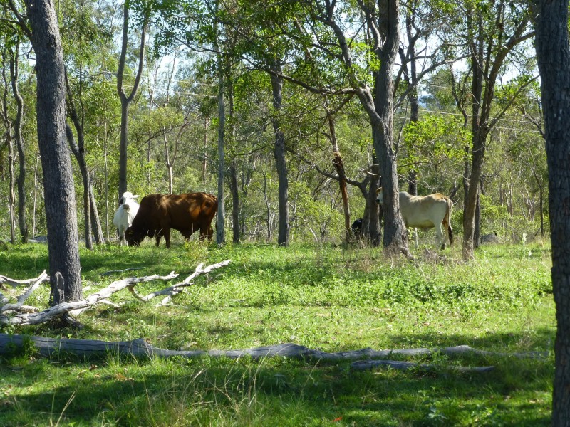 Eureka QLD 4660