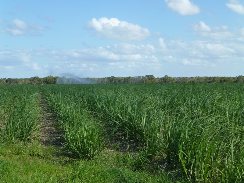 North Gregory QLD 4660