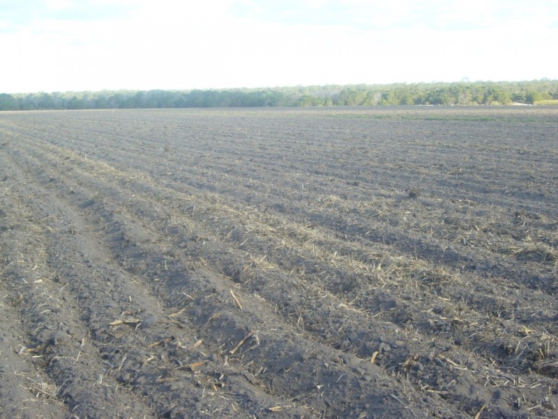 North Gregory QLD 4660