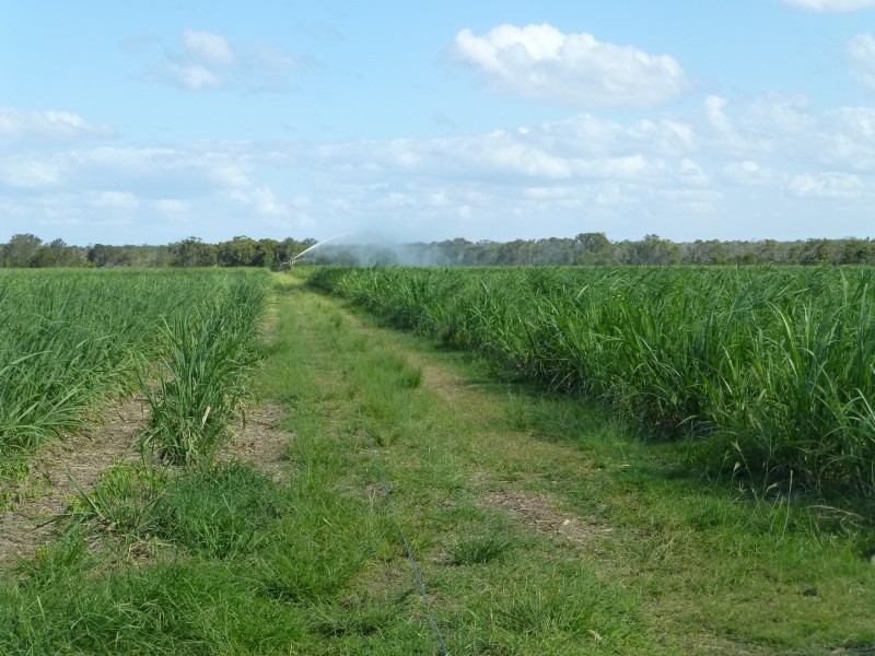 North Gregory QLD 4660
