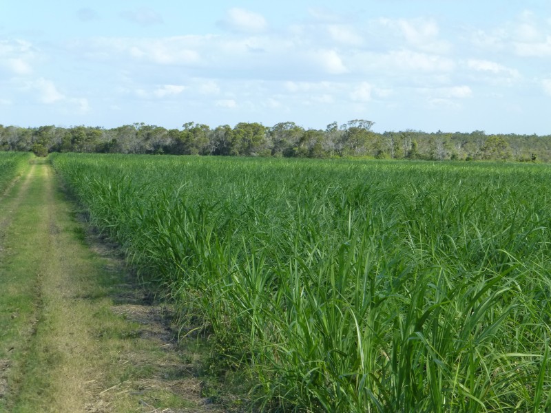 North Gregory QLD 4660