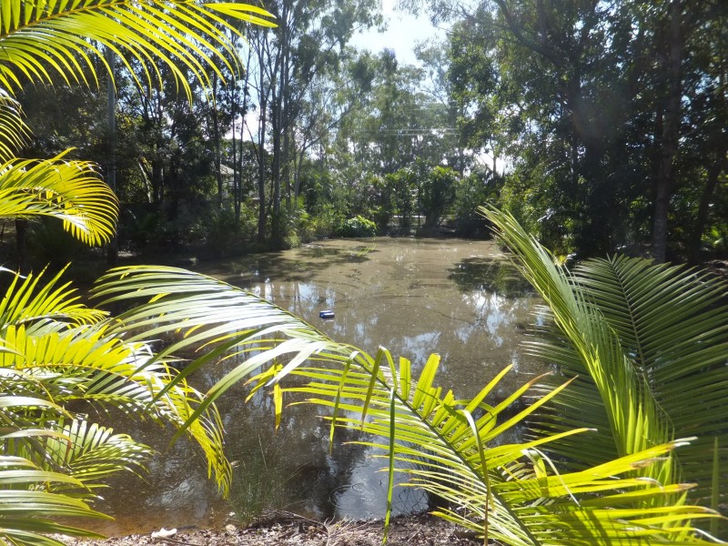 25 Norman Street, Cordalba QLD 4660