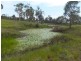 1384 BUXTON ROAD, Buxton QLD 4660