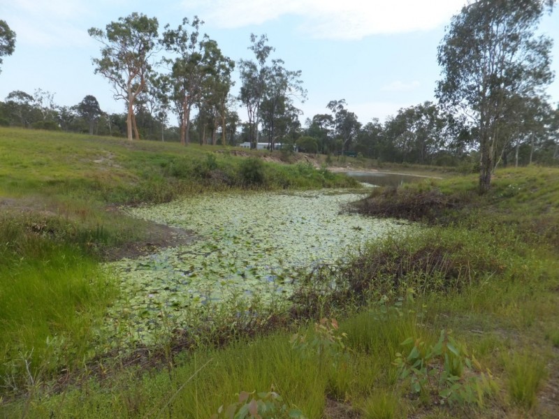 1384 BUXTON ROAD, Buxton QLD 4660