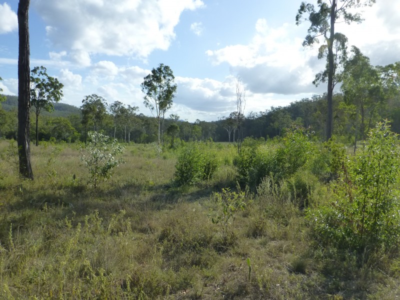 Lot 179 189 19,  YOUNG AUSTRALIA ROAD, Woowoonga QLD 4621