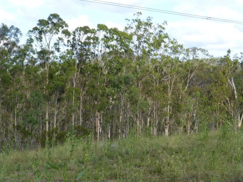 Lot 179 189 19,  YOUNG AUSTRALIA ROAD, Woowoonga QLD 4621