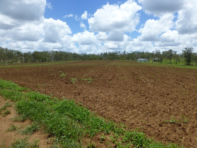 Booyal QLD 4671