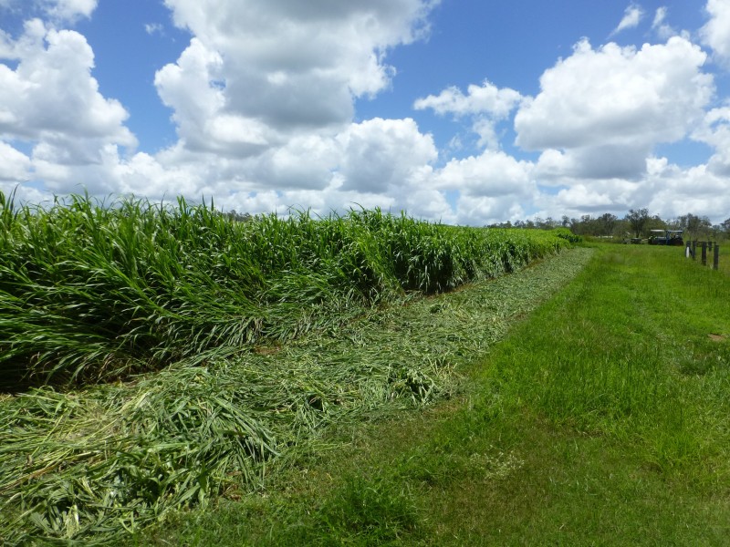 Booyal QLD 4671