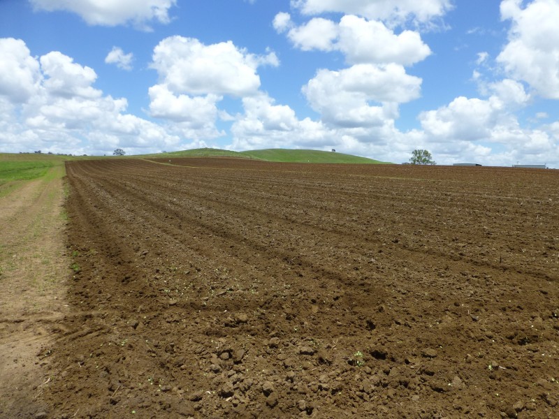 Booyal QLD 4671