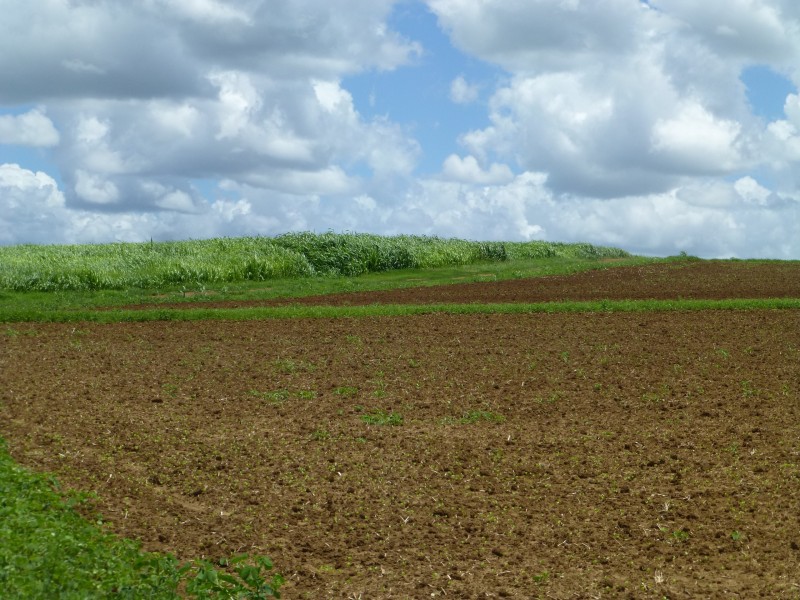 Booyal QLD 4671