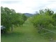 64 BLUFF VIEW ROAD, Biggenden QLD 4621