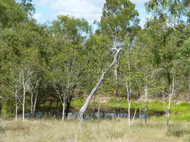 181 Guppys Road, Eureka QLD 4660