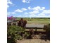 142 STATION ROAD, Horton QLD 4660
